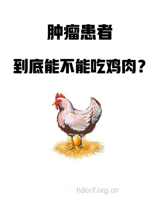 癌症患者不能吃鸡吗?