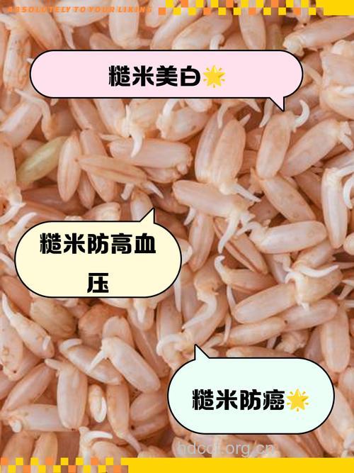 糙米可抑制癌细胞增殖