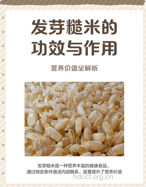 发芽的糙米具有抗癌功效
