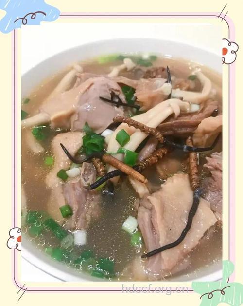 鸭与冬虫夏草同煮可以治疗肺癌