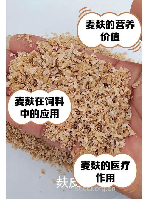 小麦麸可预防结肠癌