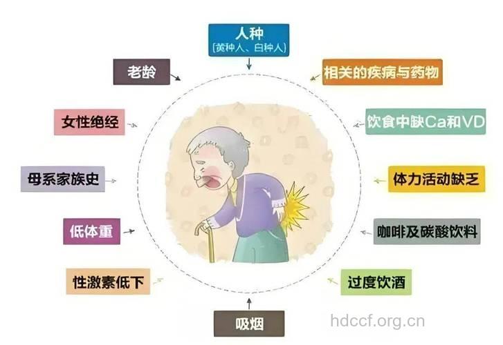 骨质疏松受哪些因素影响