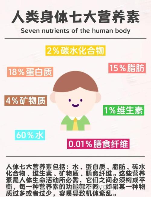 常见营养物质对免疫功能的影响