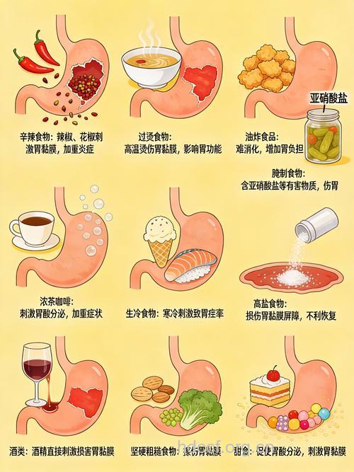 萎缩性胃炎的饮食方案
