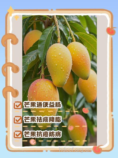 芒果可有效预防乳腺癌?