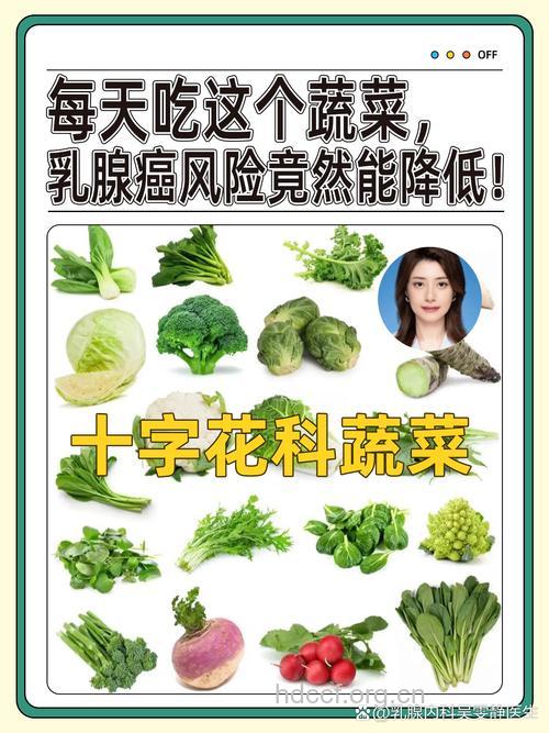 蔬菜可降低哪些癌症患病率?