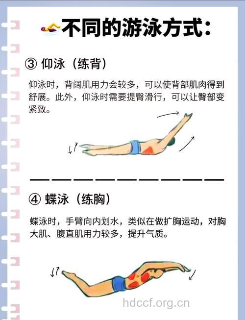 各种泳姿的锻炼部位你了解吗