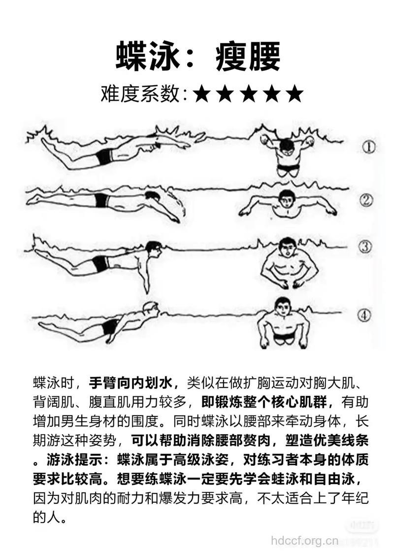 最燃脂的4式泳姿