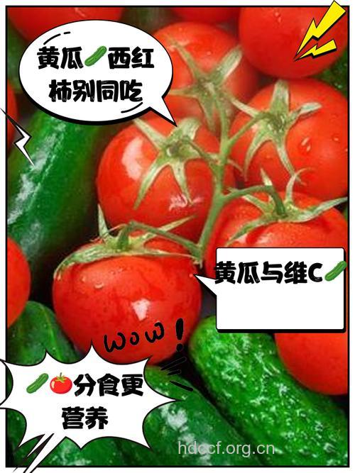 番茄可抗癌 但不要和黄瓜一起吃