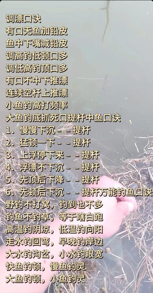 钓鱼养生有哪些技巧
