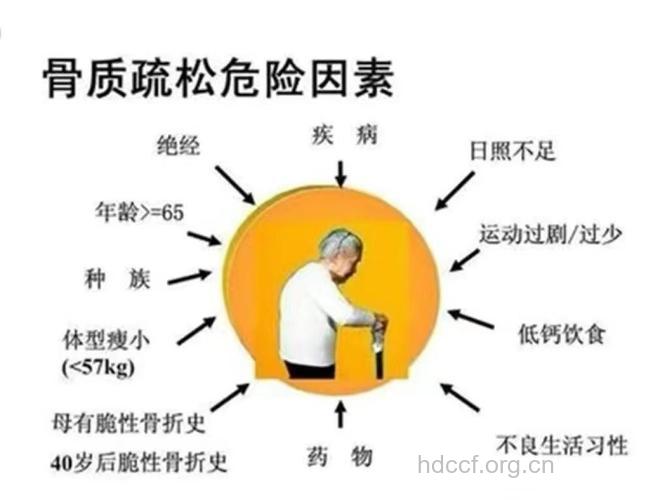 你是骨质疏松的高危人群吗