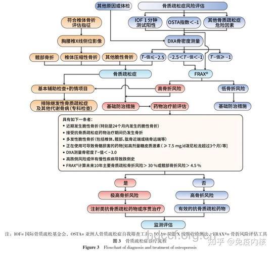 骨质疏松病因是什么呢
