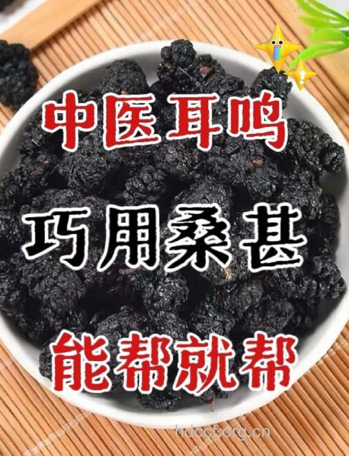 怎么用桑葚治疗耳鸣方法