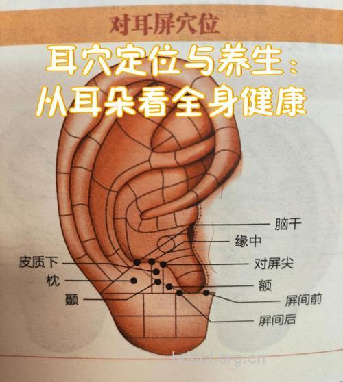 中医怎么辩证治疗耳病方法