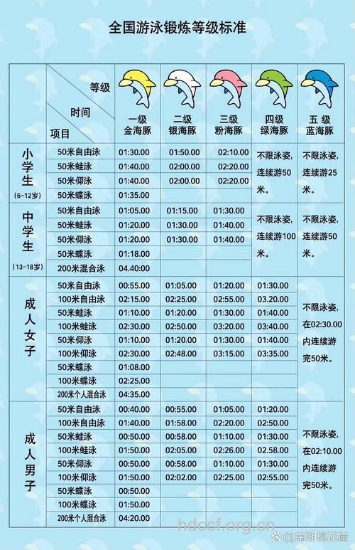 游泳健身有哪些分类