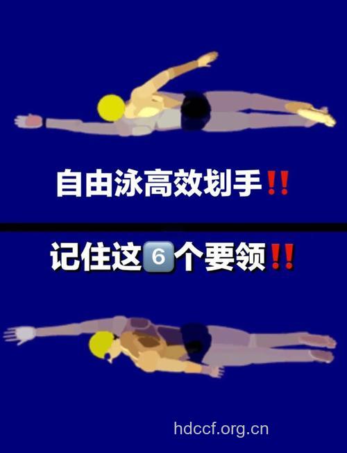 怎么掌握自由游速度