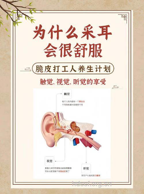掏耳朵有哪些注意事项