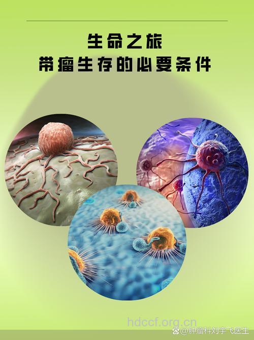 何为带癌生存的条件