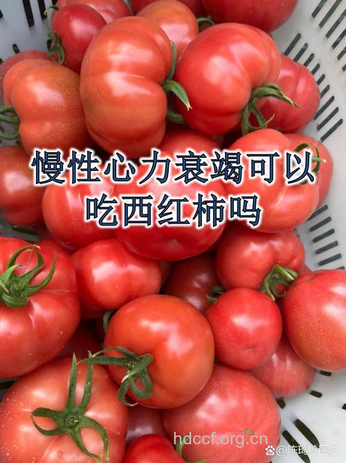 男性防癌健心 番茄显身手