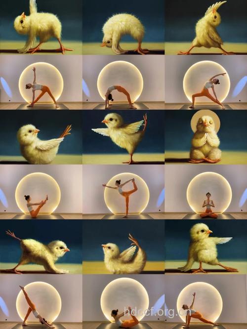 像“禽兽”一样地练瑜伽