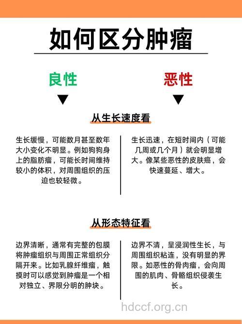 如何鉴别癌症与良性病变?