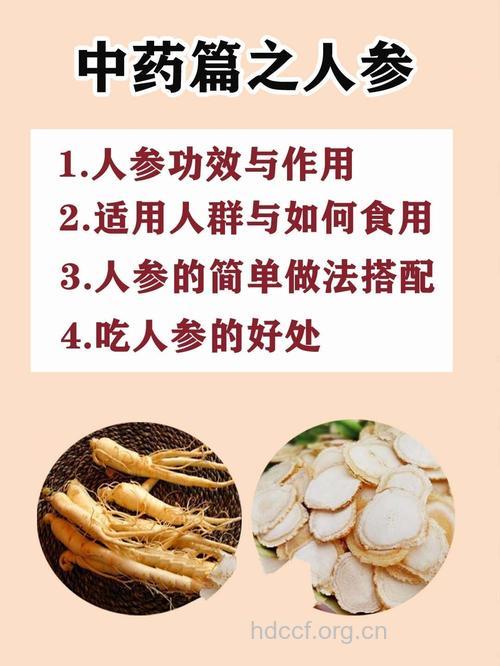 癌症患者该怎样选择人参来保健?
