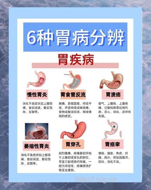 慢性胃炎的分类及各自特点