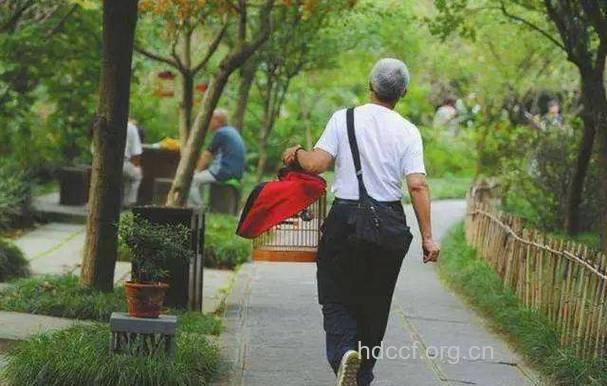 癌友散步学问多