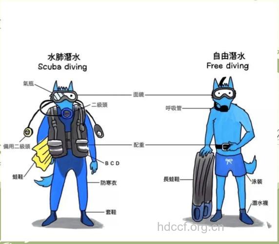 水肺潜水的十项新规则