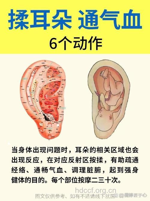 怎样观耳查病？