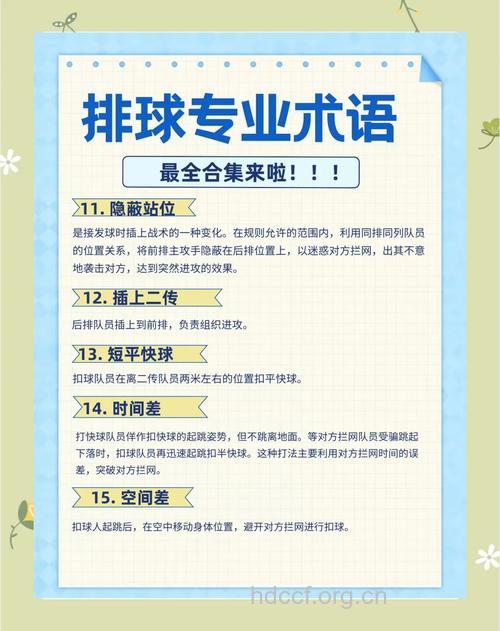 教你了解排球专业术语