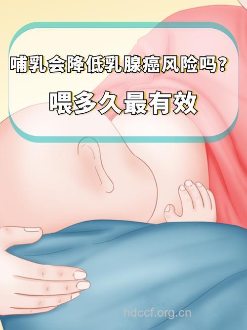 女性哺乳减少乳腺癌的发生