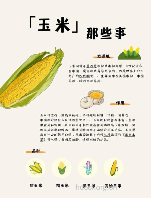 玉米既能防癌又可保护眼睛