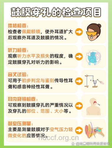 传导性耳聋会有的症状