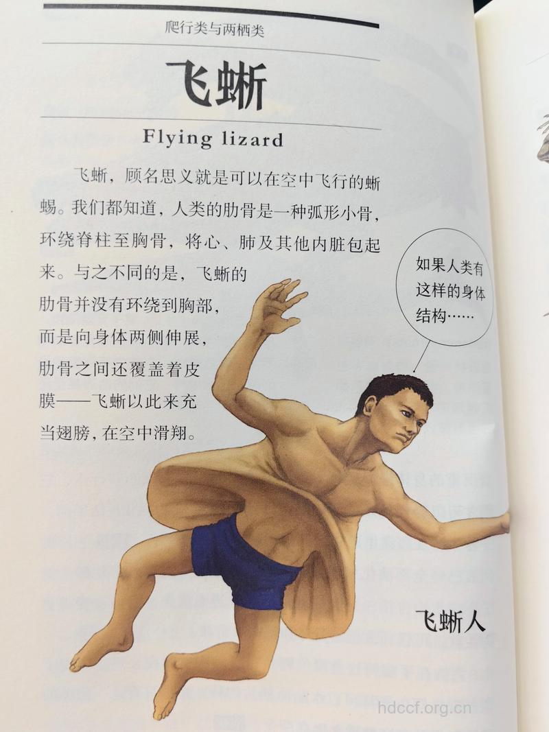 滑翔知识:滑翔者入门七戒