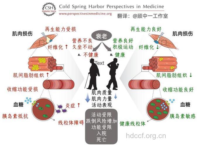 癌症与衰老有什么样的关系