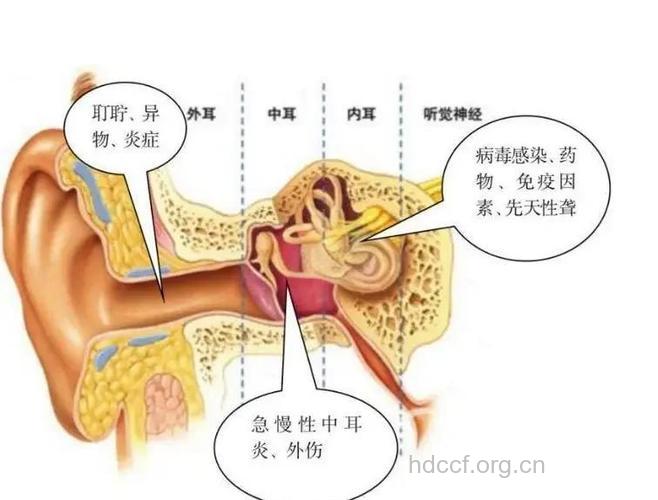 警惕！儿童耳聋多因药物引起