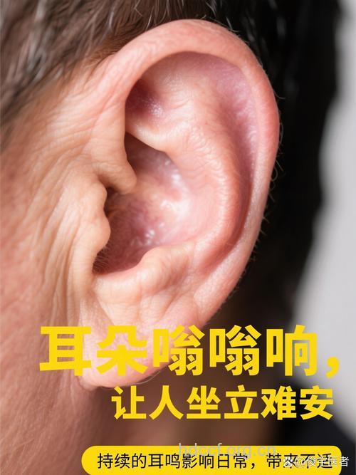 滴水声防老人耳鸣?