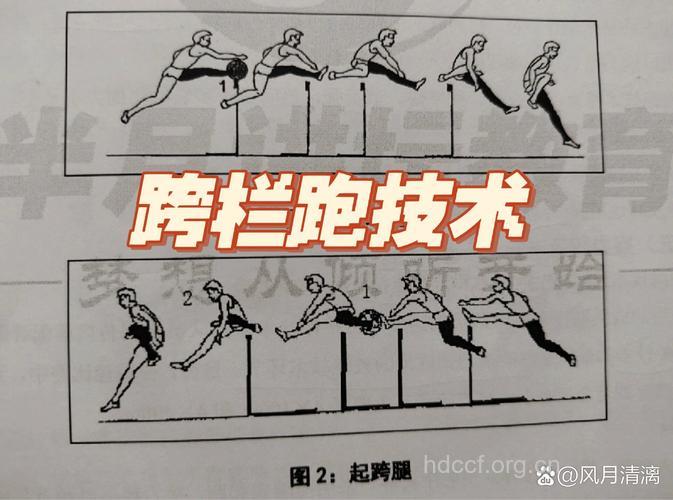 跨栏跑：全程跑的辅助练习