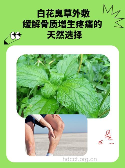 骨质增生的中医疗法