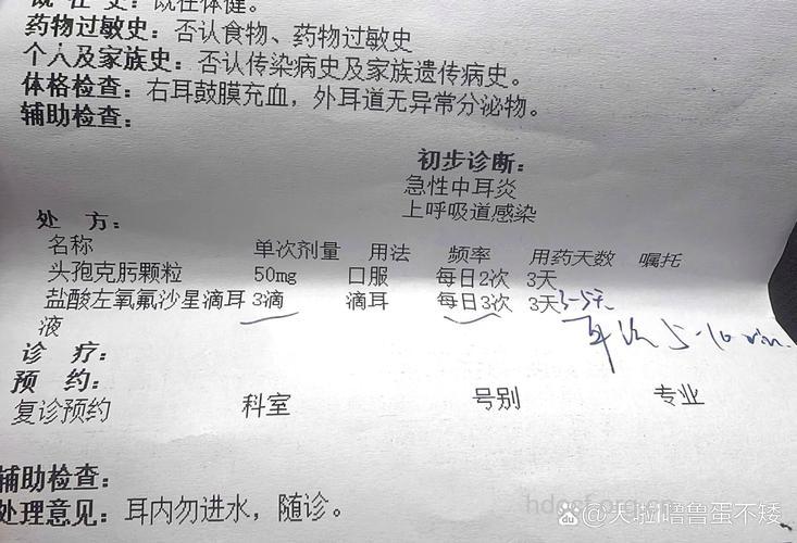 慢性化脓性中耳炎的主要临床症状及检查所见