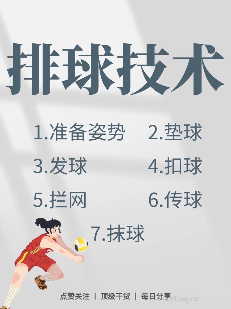 排球比赛技术