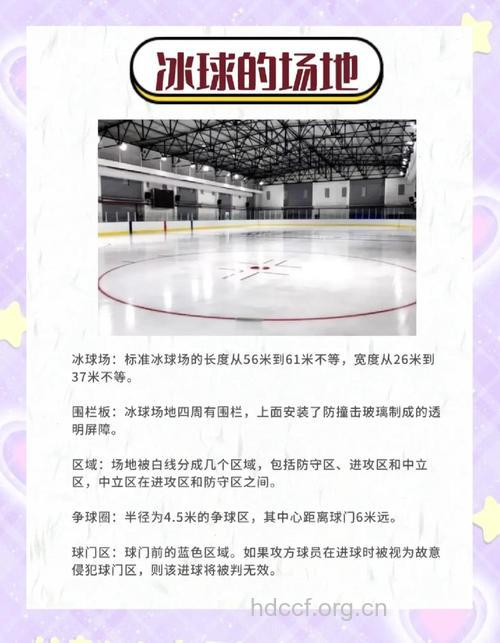 冰球运动术语详解