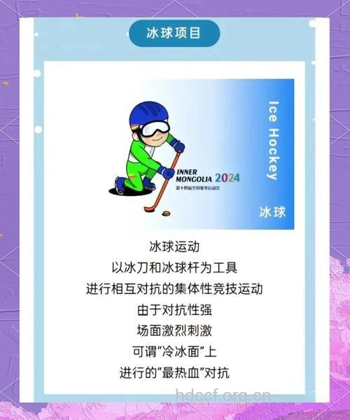 冰球运动技术介绍