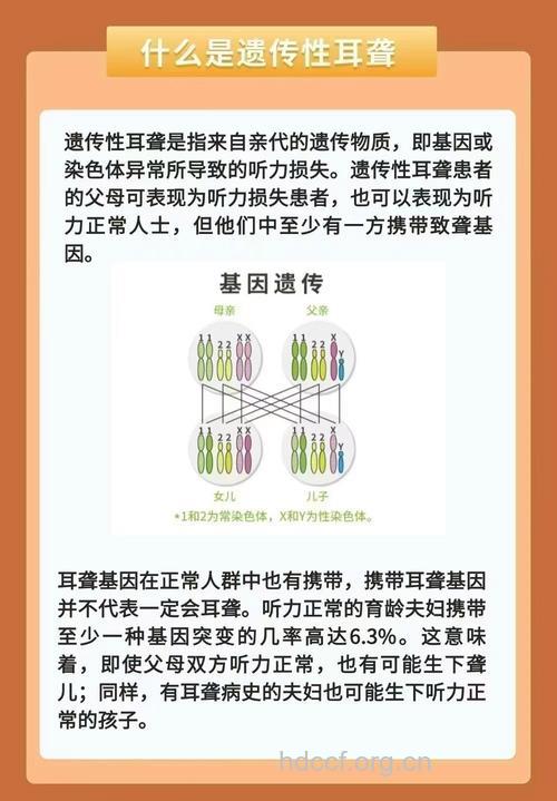 探索耳聋家族时代相传的秘密
