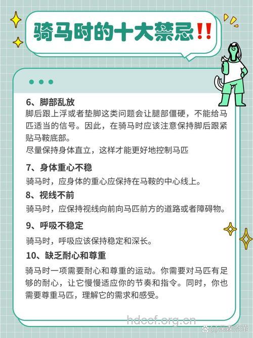 教练提醒:骑马8个注意事项