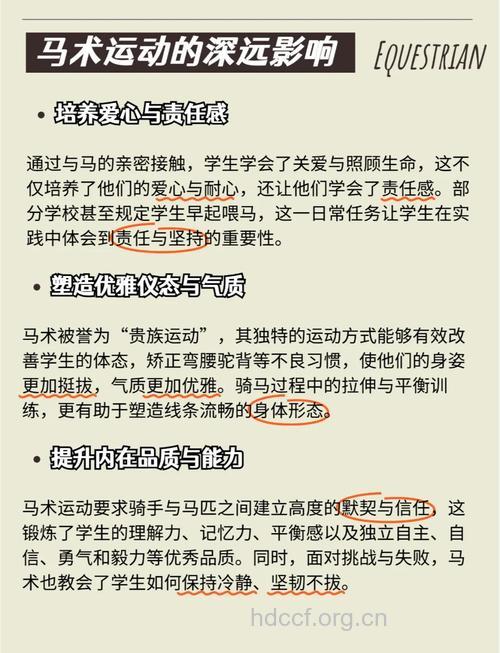 马术项目及其规程介绍