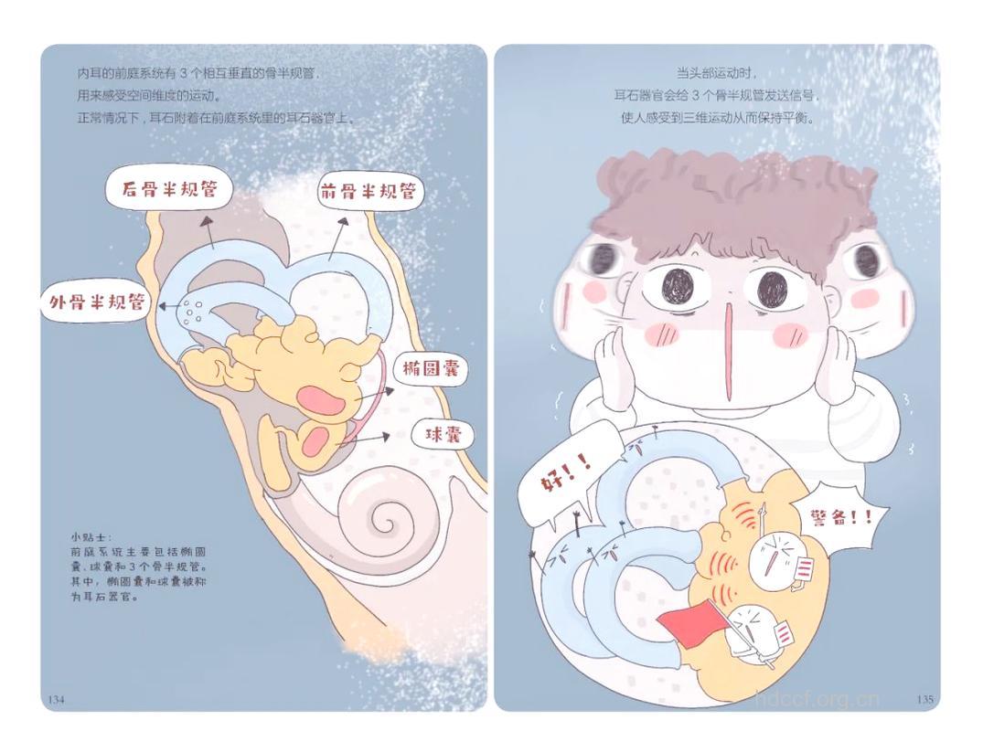 探索青少年失聪的奥秘