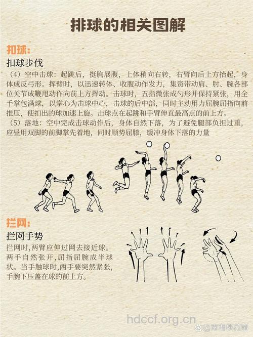 排球背快、背飞和背溜介绍