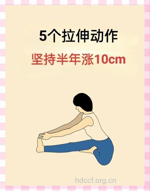 简单易学的增高体操